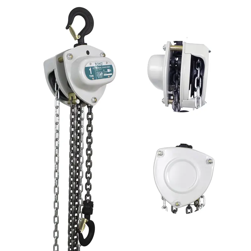 1-Ton (2000-Lb) Manual Chain Hoist – 10-Foot Lift, G80 Alloy Chain, Dual Hooks, Industrial Build 1