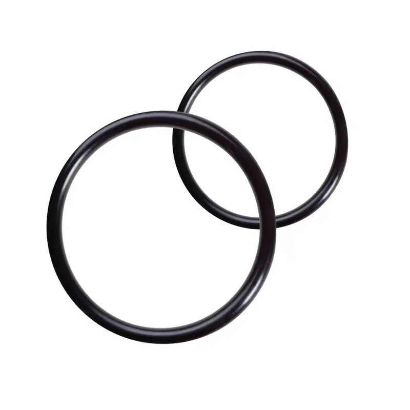 Allia Qfx & Prima Dual O-Ring Set For Concealed Toilets | Ref. 16410500 1