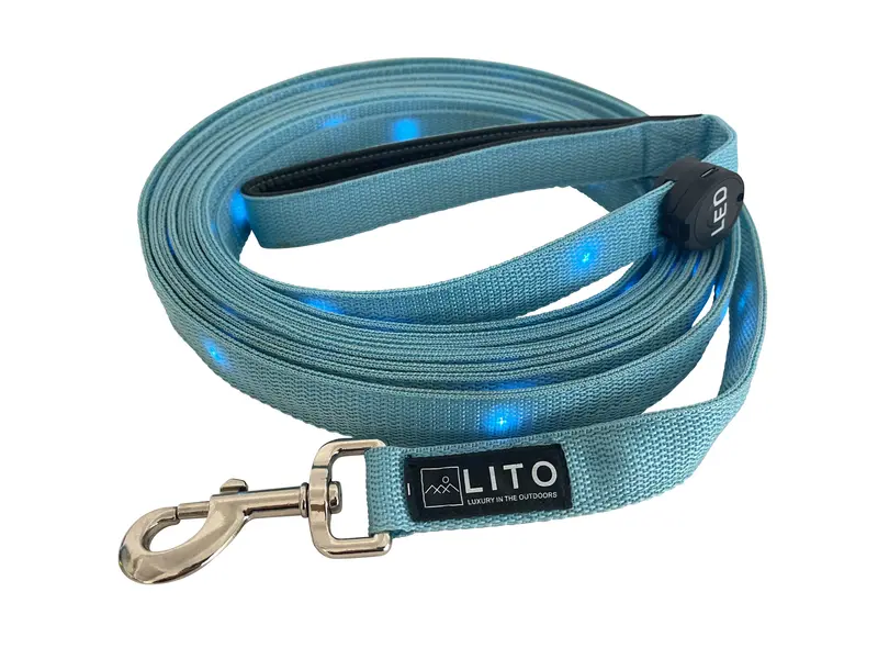 Blue Light-Up Dog Leash – Cool-Tone Illuminated Walking Lead 1