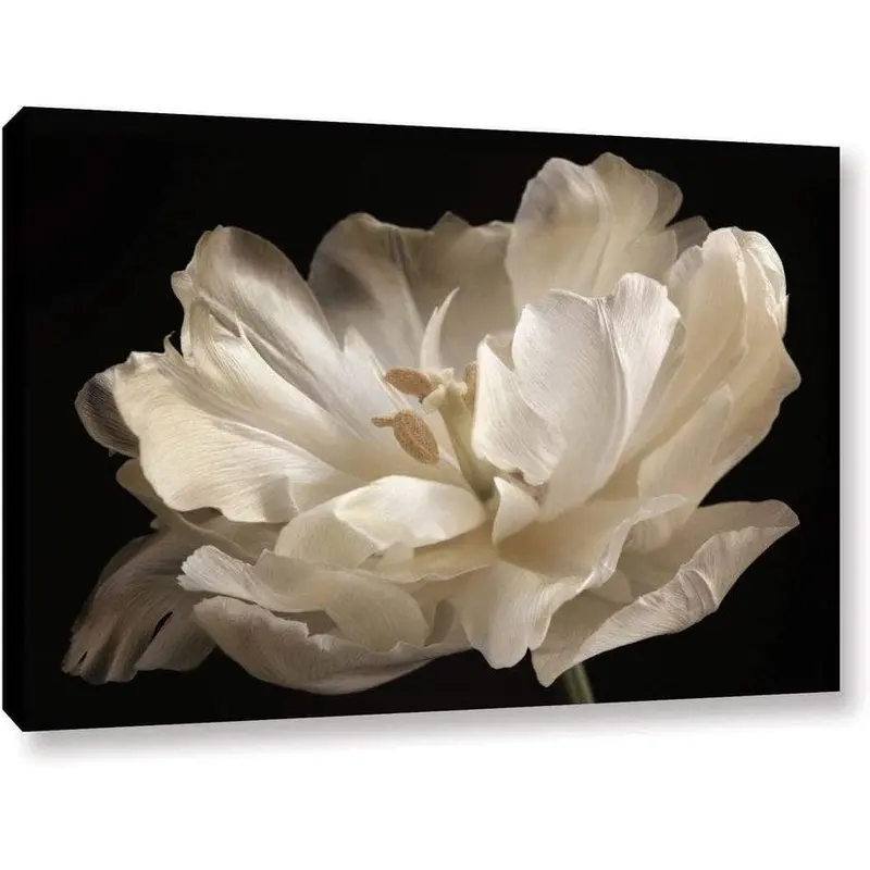 Botanical Flower Canvas Wall Art – 48" X 32" X 1.5", Gallery-Wrapped 1