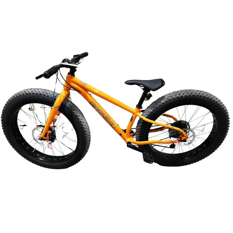 Louis Garneau Big Will 26-Inch Youth Cruiser Bike – Vibrant Orange Frame 1