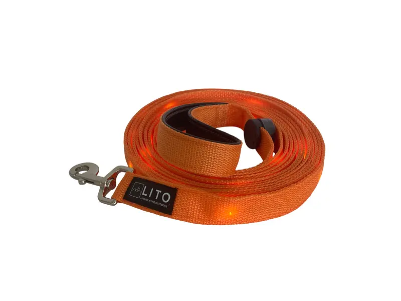 Orange Light-Up Dog Leash – Vibrant Glow Leash For Evening Walks 1