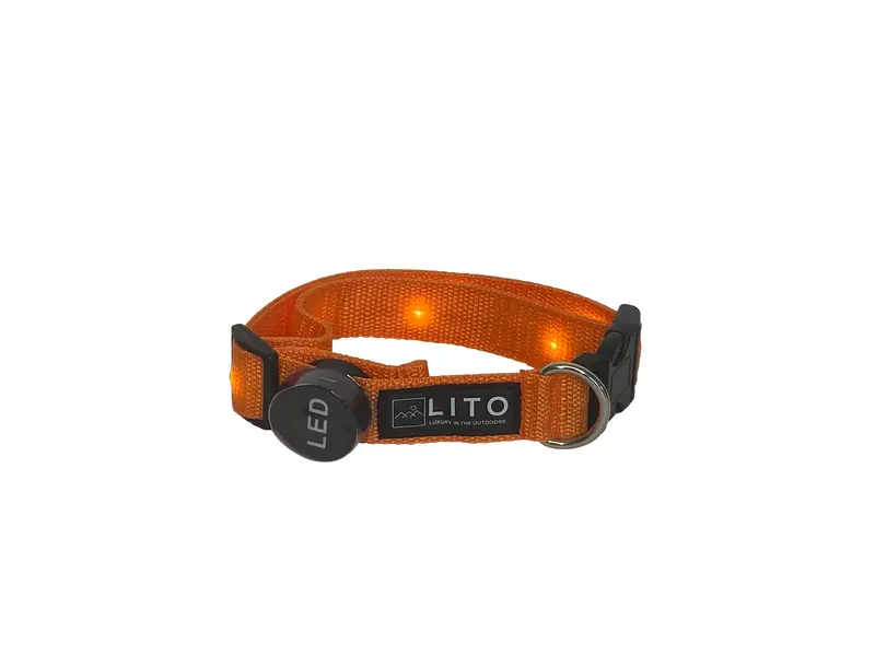Rechargeable Orange Led Dog Collar – Visible, Usb-Charged Safety Collar 1
