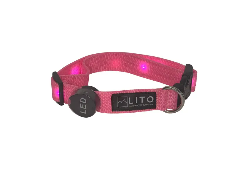 Rechargeable Pink Led Dog Collar – Soft-Glow Rechargeable Nighttime Collar 1
