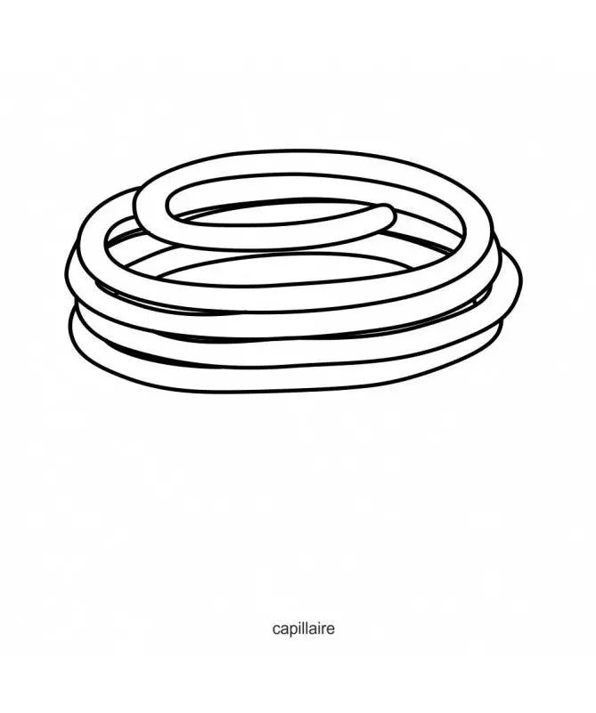 Regiplast/Oli Pneumatic Mechanism Capillary Kit | Two 3-Meter Tubes | Part 043234 1