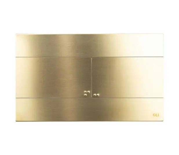 Regiplast/Oli Slim Flush Plate | Ref 888565 | Brushed Stainless Steel With Gold Plating 1