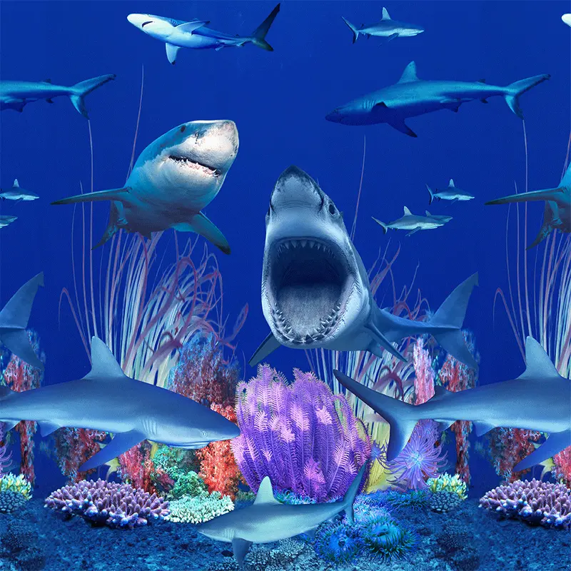 Shark Nation Pool Liner – Bold Marine-Themed Above-Ground Liner 1