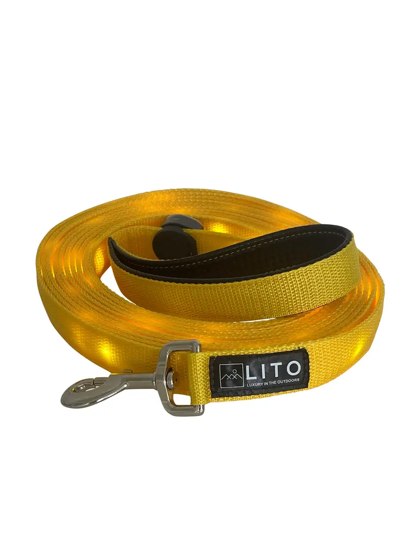 Yellow Light-Up Dog Leash – High-Visibility Illuminated Pet Leash 1